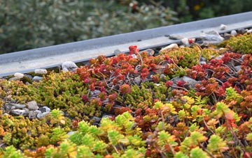 the cost of Conlig green roof installation