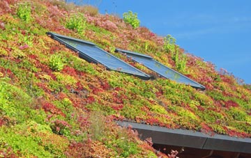 Conlig living roof systems