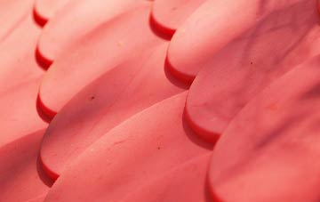 Conlig plastic roof costs