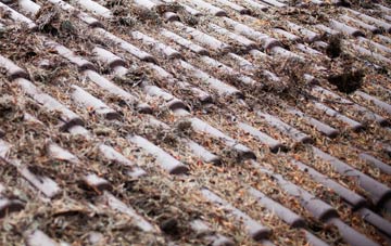 Conlig roof cleaning companies