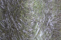 Conlig fibreglass roof work